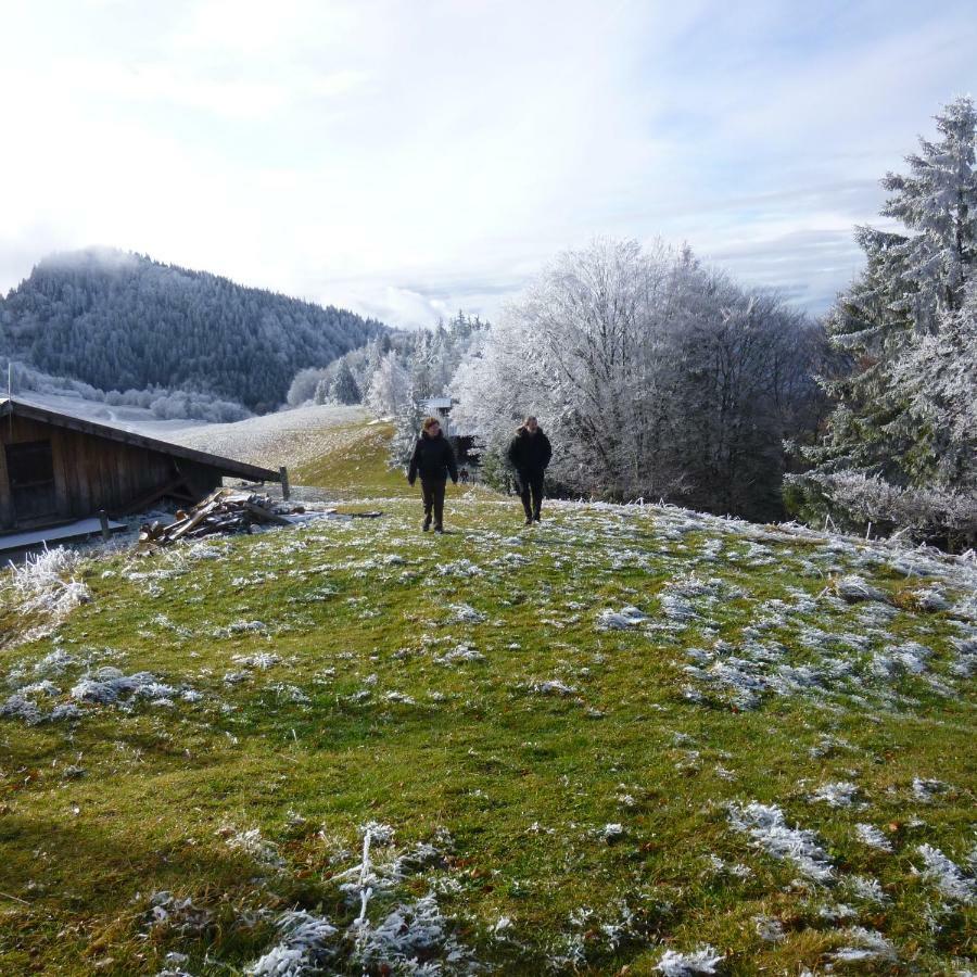 Les Sapins Blancs Apartment Vacheresse Luaran gambar